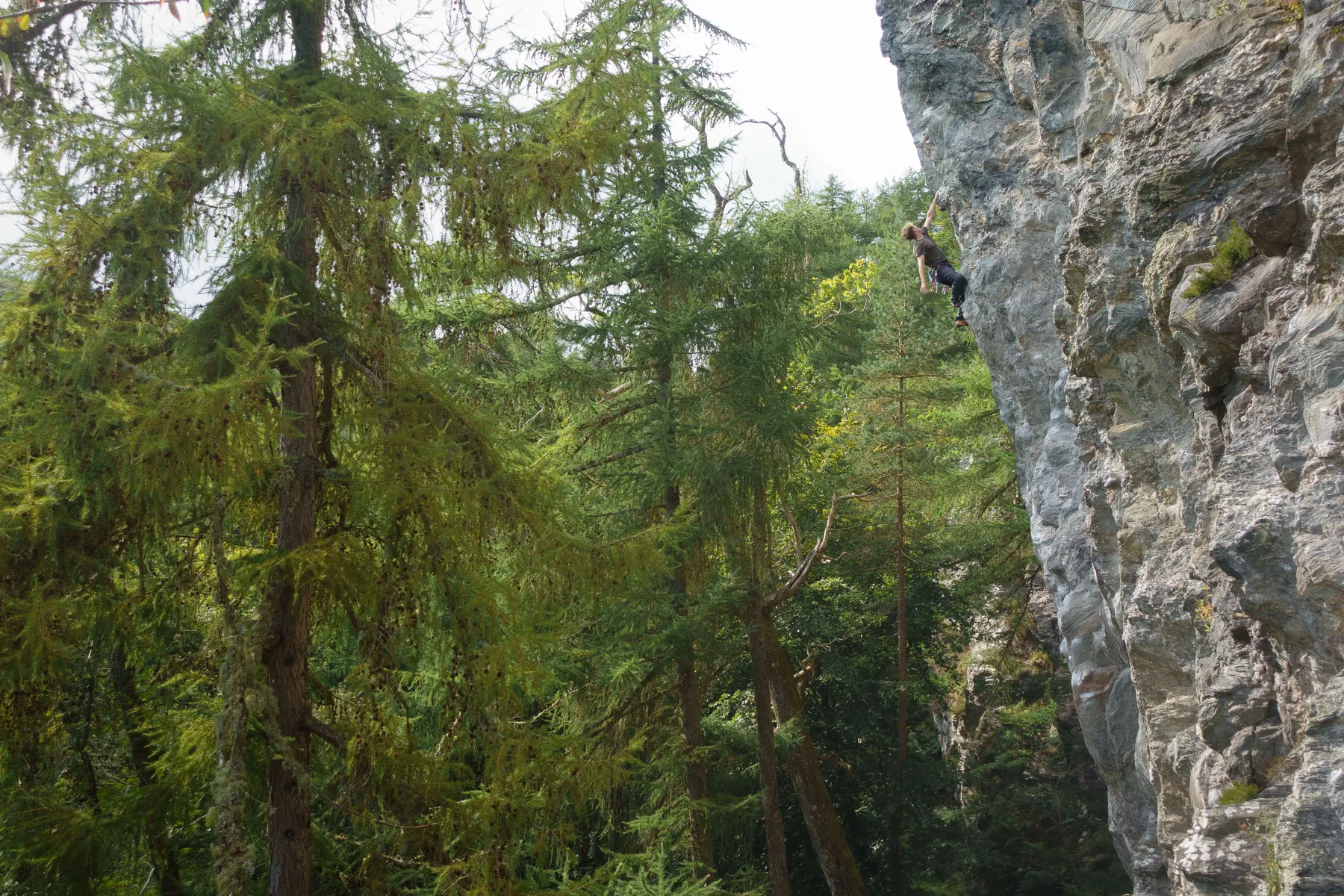 Hamish Tedds - Dunkeld - Noah Crossingham - 2023